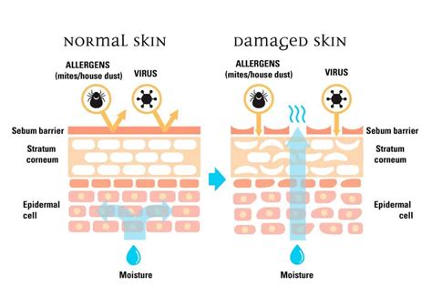 Hyaluronic Acid Serum: The Secret to Plumper, Firmer Skin